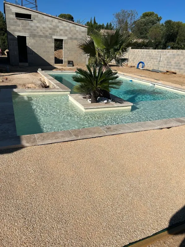 Piscine moderne avec îlot central et palmier